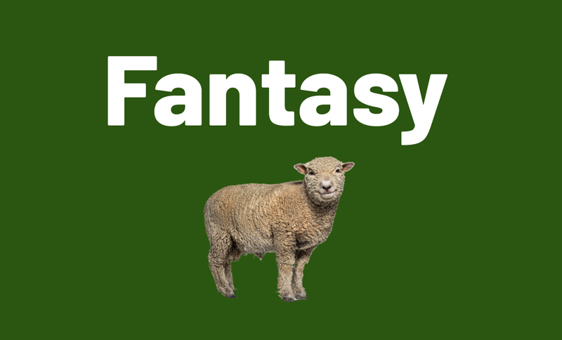 Fantasy